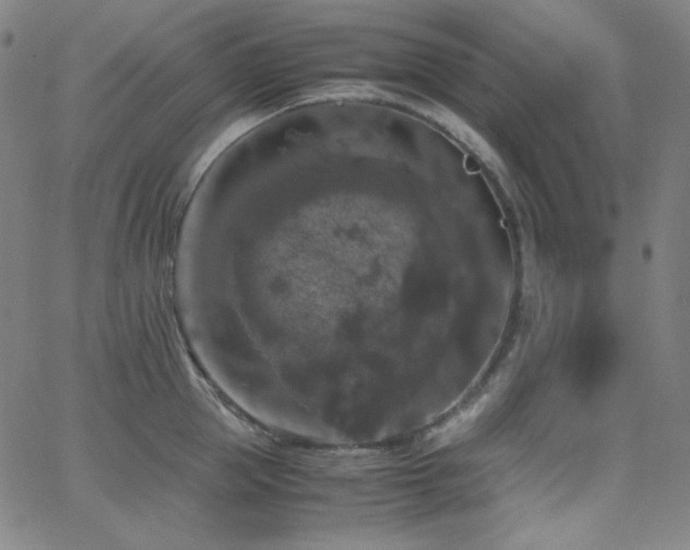 X0000062850953200601131346