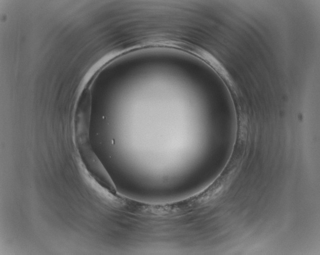 X0000062850955200601131346