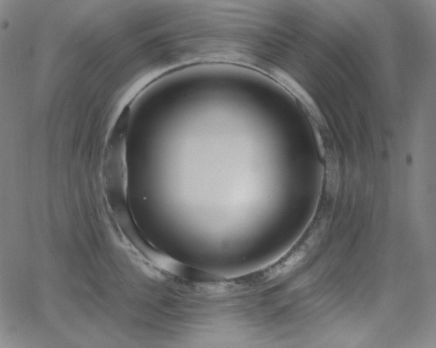 X0000062850956200601131346