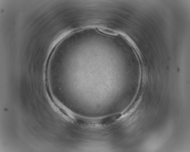 X0000062850957200601131346