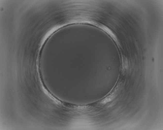 X0000062850958200601131346