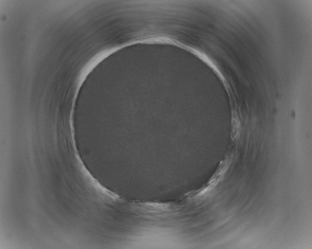 X0000062850959200601131346