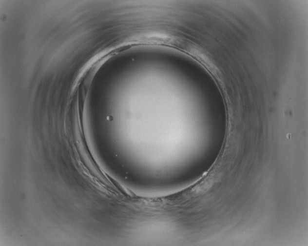 X0000062850960200601131346