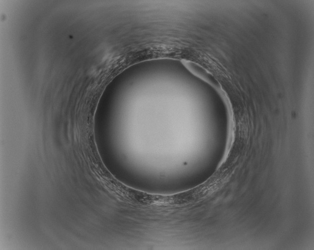 X0000062850961200601131346