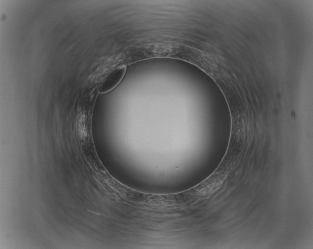 X0000062850962200601131346