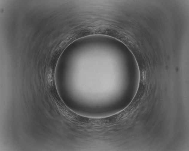 X0000062850963200601131346