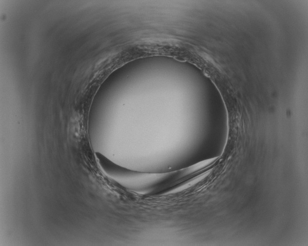 X0000062850965200601131346