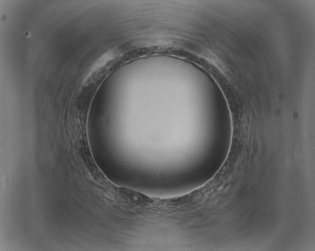 X0000062850967200601131345