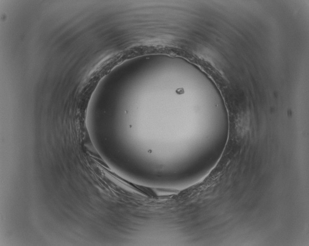 X0000062850968200601131345