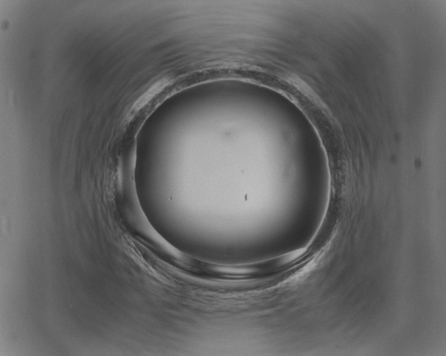 X0000062850969200601131345