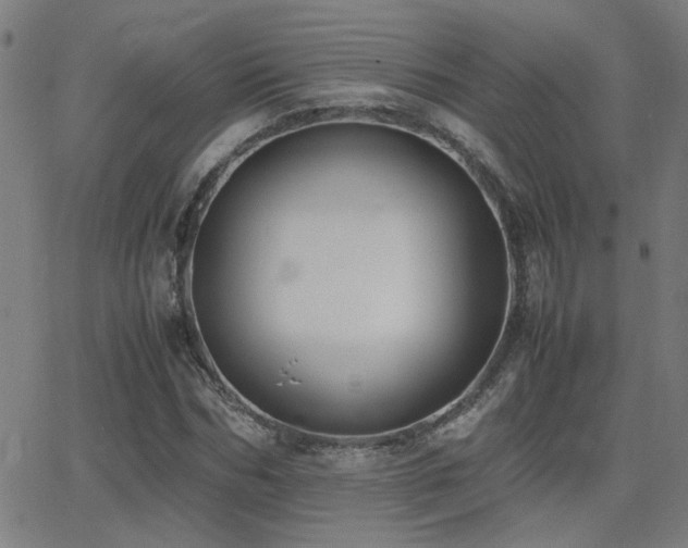 X0000062850970200601131345