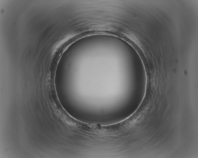 X0000062850971200601131345