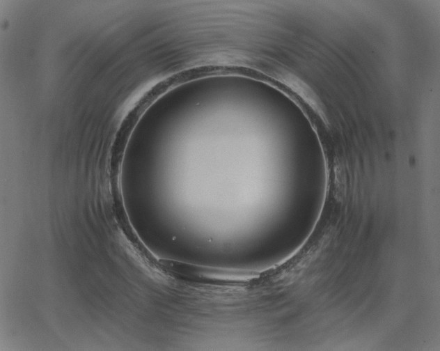 X0000062850972200601131345