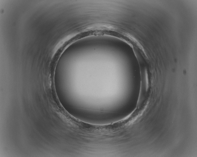 X0000062850973200601131345