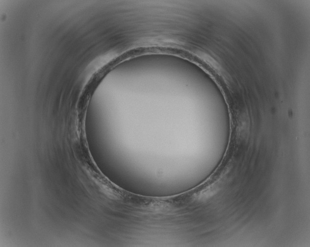 X0000062850974200601131345