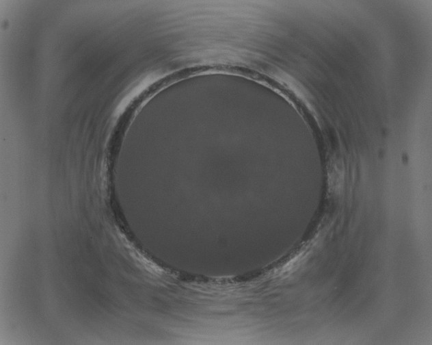 X0000062850975200601131345