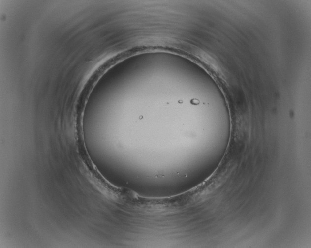 X0000062850976200601131345