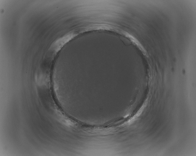 X0000062850977200601131345