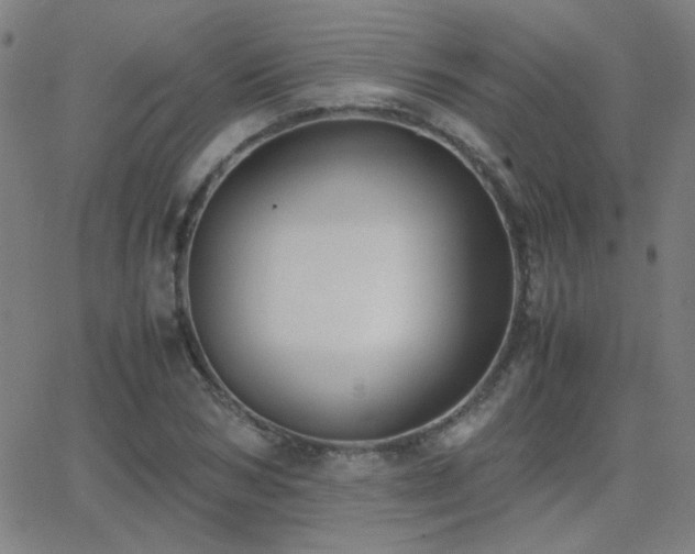 X0000062850978200601131345