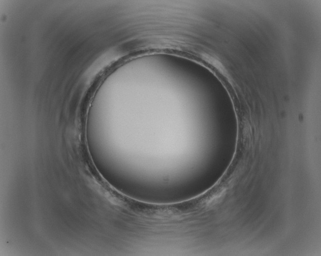 X0000062850979200601131345