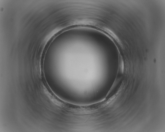 X0000062850980200601131345