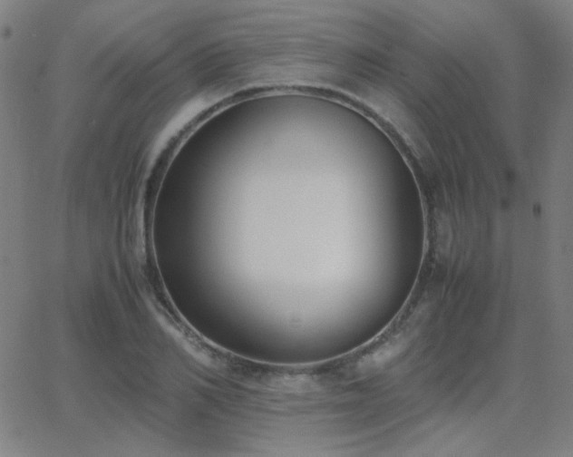 X0000062850982200601131345