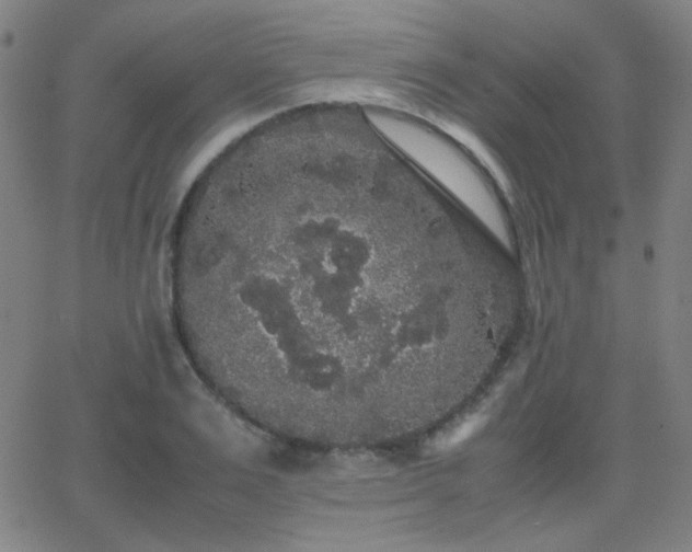 X0000062850983200601131345