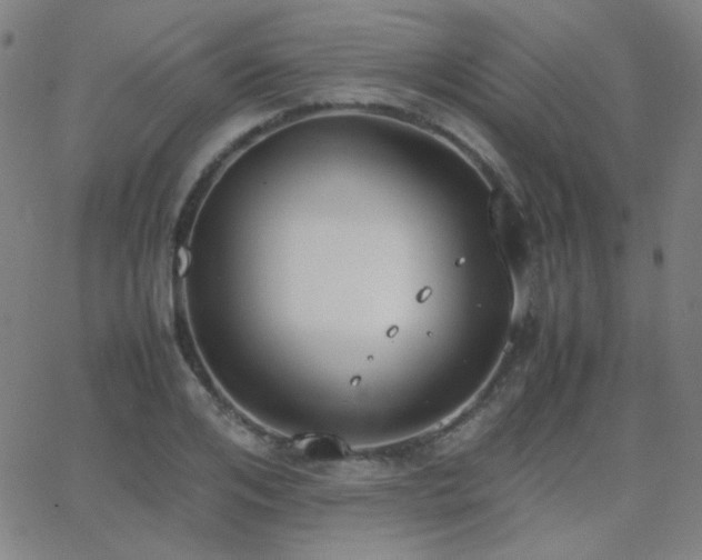 X0000062850984200601131345