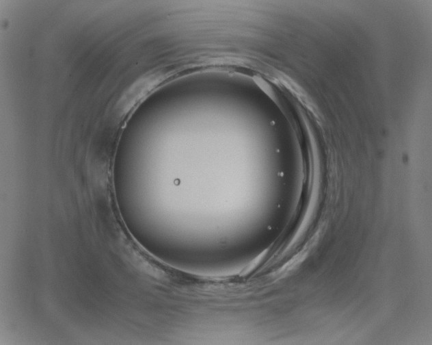 X0000062850985200601131345