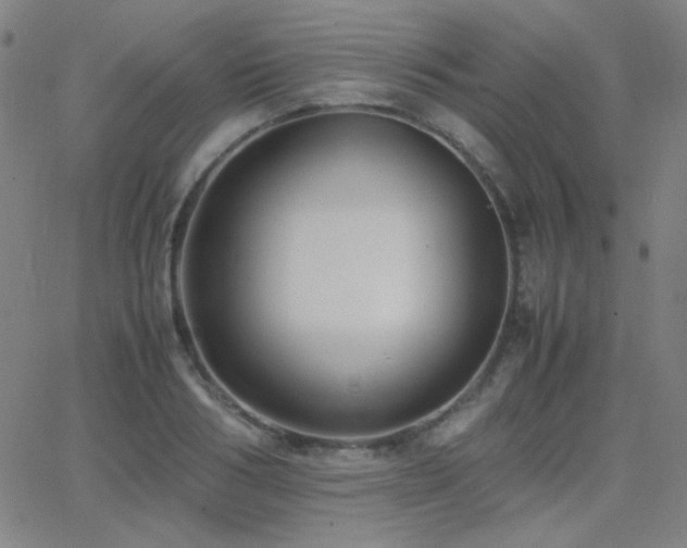 X0000062850986200601131345