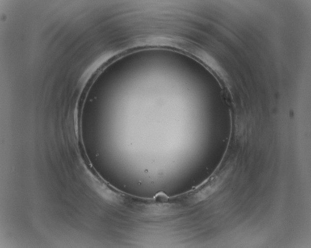 X0000062850988200601131345