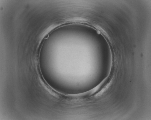 X0000062850989200601131345