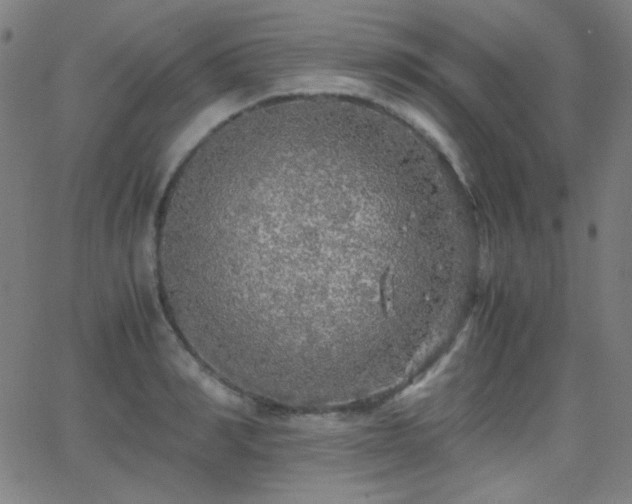 X0000062850990200601131345