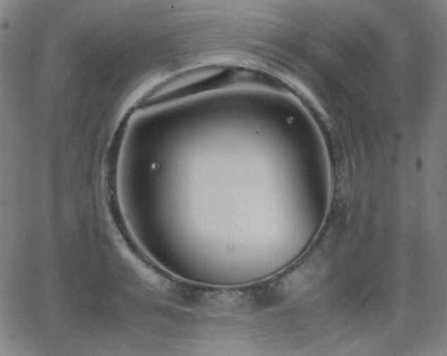 X0000062850991200601131345