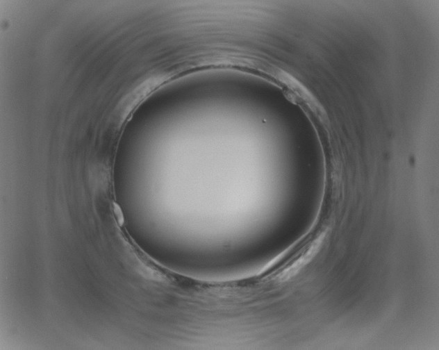 X0000062850993200601131345