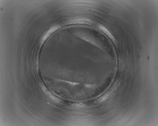 X0000062850994200601131345