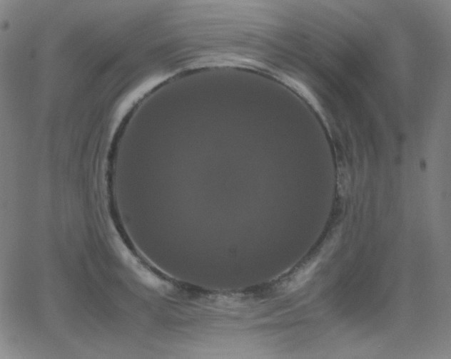 X0000062850995200601131345