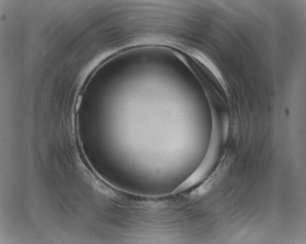 X0000062850996200601131345