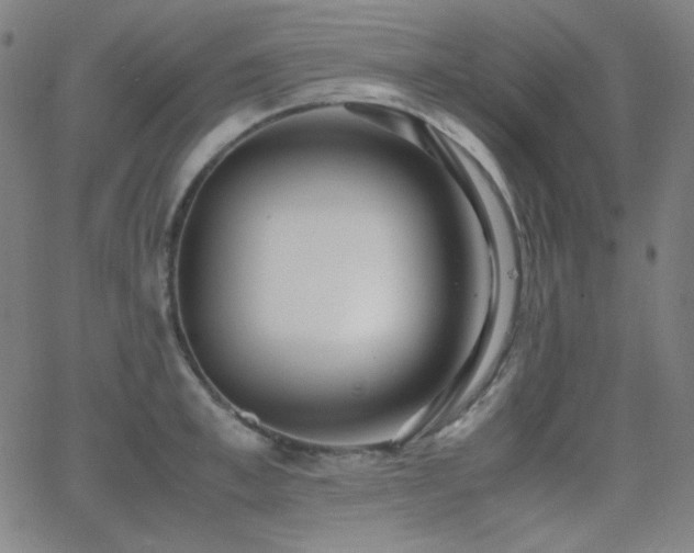 X0000062850997200601131345