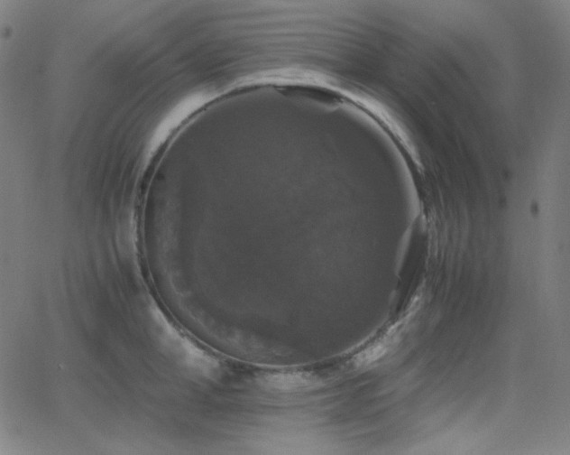 X0000062850998200601131345