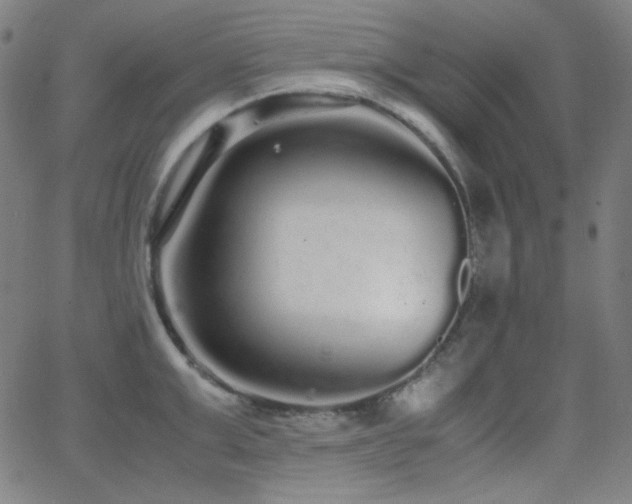 X0000062850999200601131345