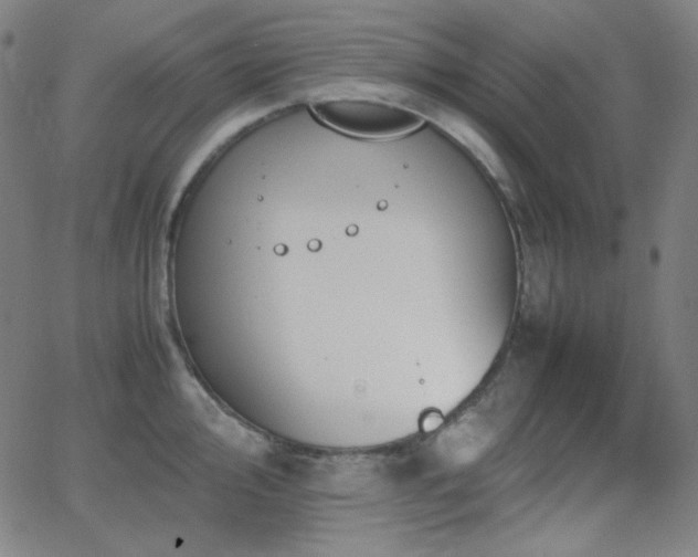 X0000062851000200601131345