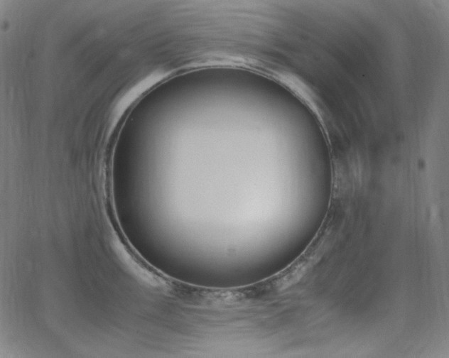 X0000062851003200601131345