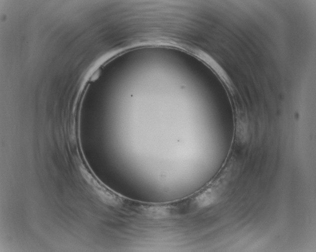 X0000062851004200601131345