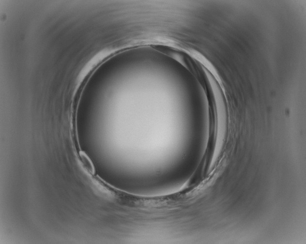 X0000062851005200601131345