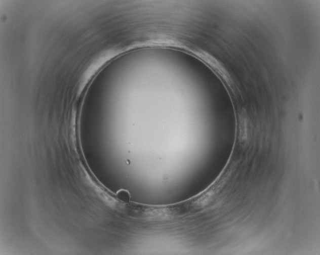 X0000062851006200601131345