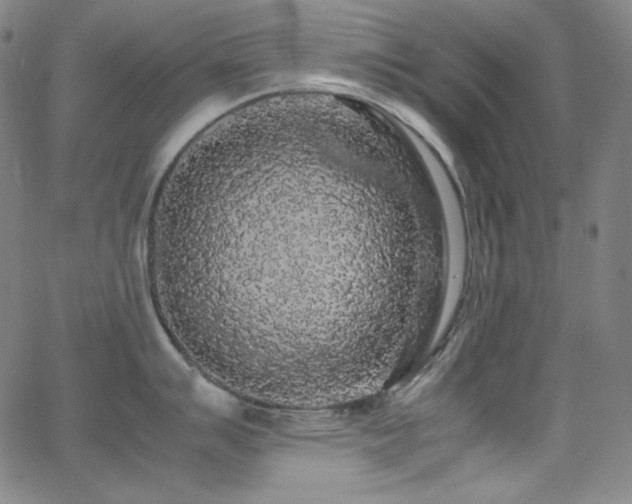 X0000062851007200601131345