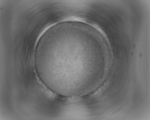 X0000062851008200601131345