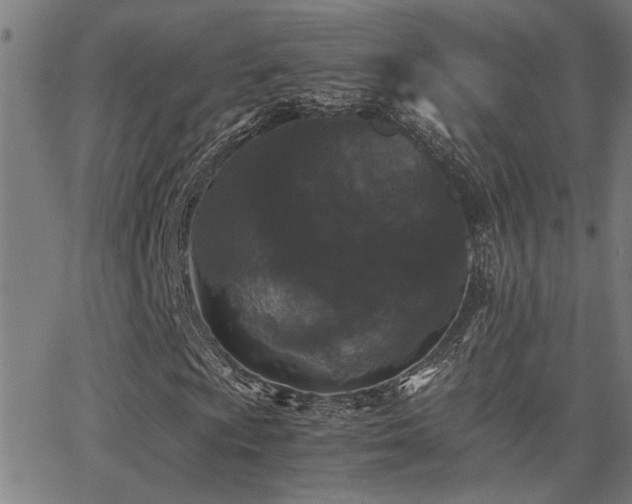 X0000062851009200601131344