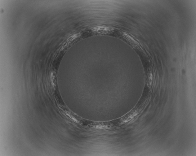 X0000062851010200601131344